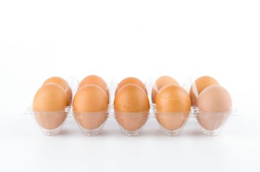 paketlenmiş yumurta