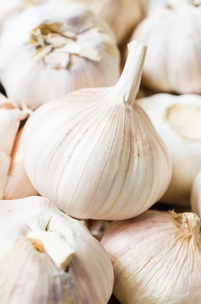 Garlic close up — Stock Photo, Image