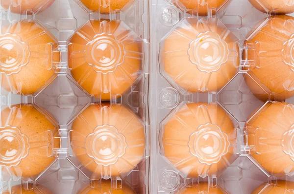 Huevos envasados — Foto de Stock