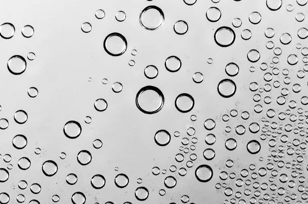 Gotas de agua en blanco y negro —  Fotos de Stock