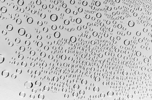 Waterdruppels op zwart-wit — Stockfoto