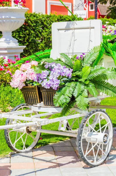 Flower trolley — Stock Photo, Image