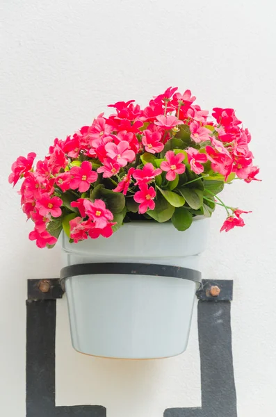 Plastic flowers — Stock Photo, Image