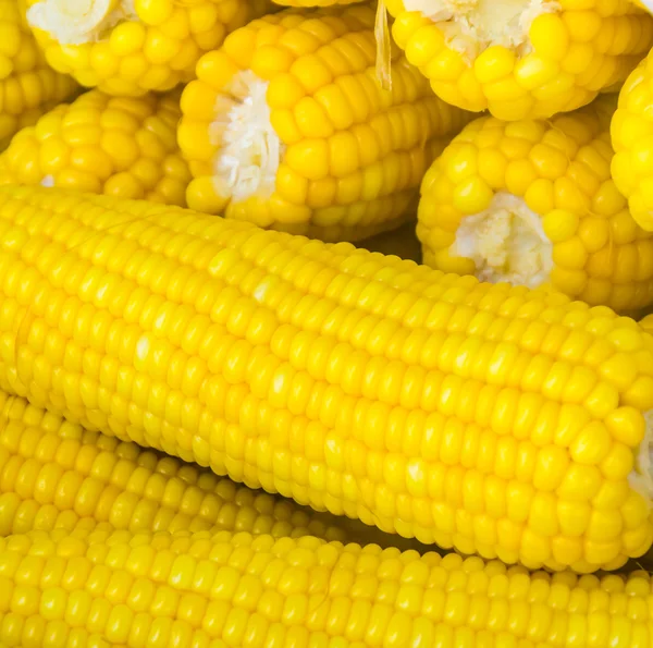 Parní kukuřice — Stock fotografie