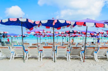 Koh Larne Adası