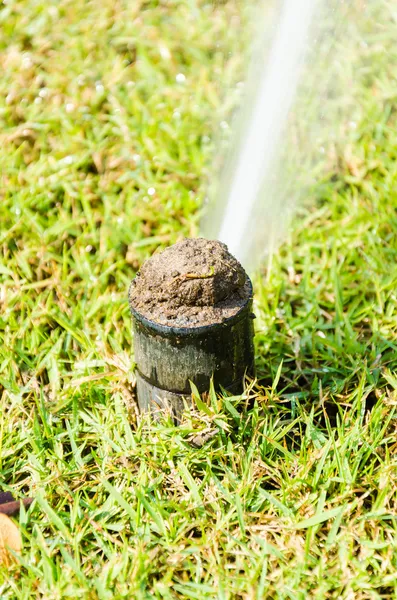 Sprinkle in the garden — Stock Photo, Image