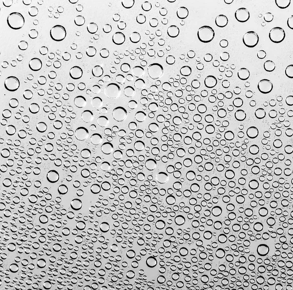 Water drops on black and white — Stock Photo, Image