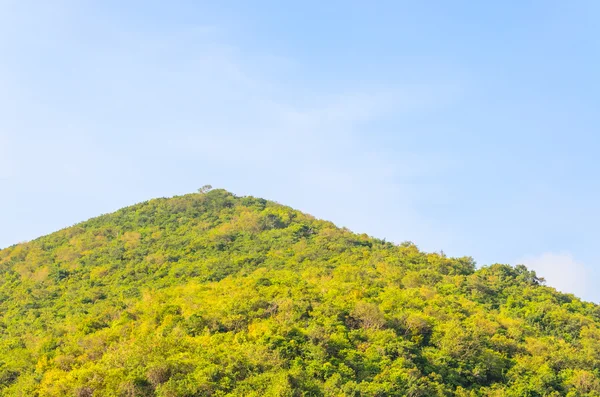 Island in Thailand — Stock Photo, Image