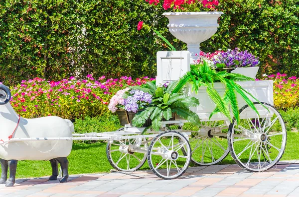 Flower trolley — Stock Photo, Image