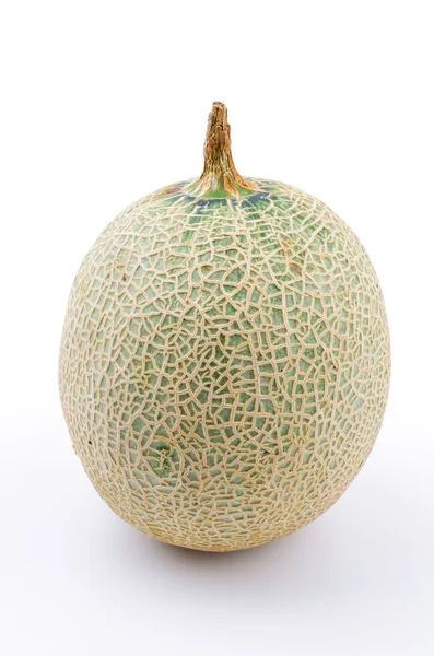 Melone bianco — Foto Stock