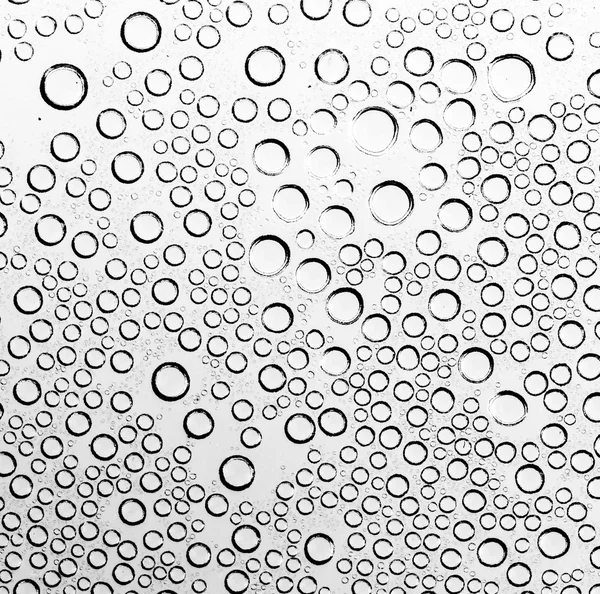 Water drops on black and white — Stock Photo, Image