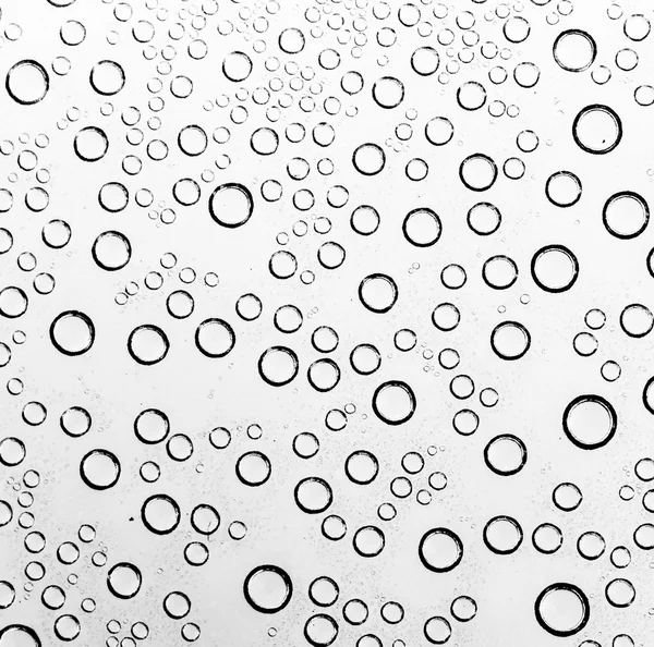 Gotas de agua en blanco y negro — Foto de Stock