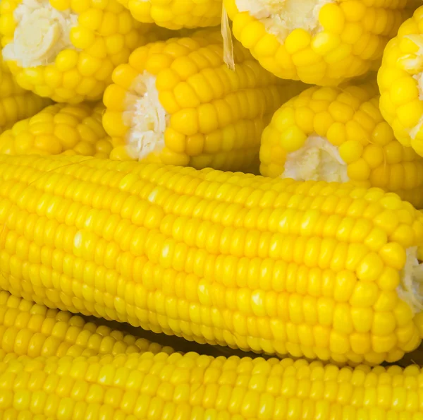 Steam corn — Stock Photo, Image