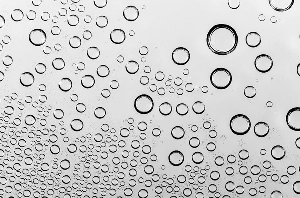 Gocce d'acqua su bianco e nero — Foto Stock