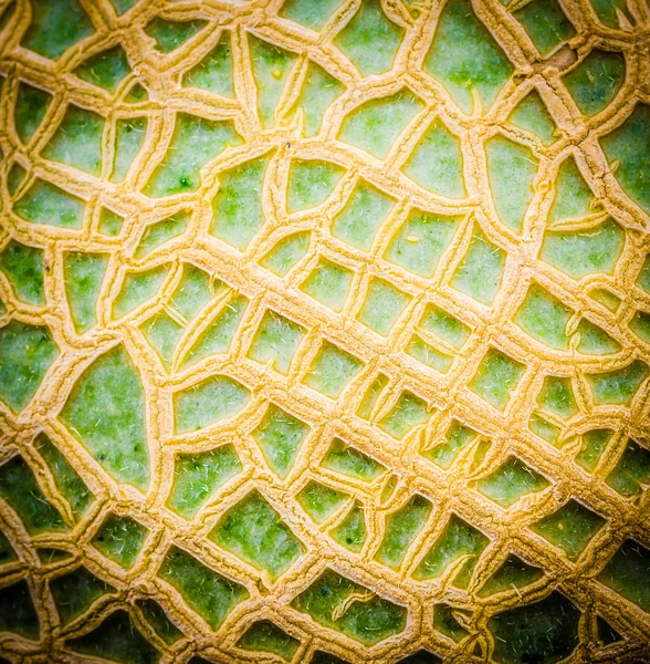 Meloun textura — Stock fotografie
