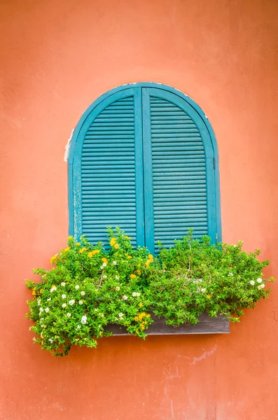 Janela da Toscana — Fotografia de Stock