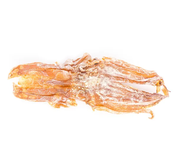 Dry squid — Stock Photo, Image