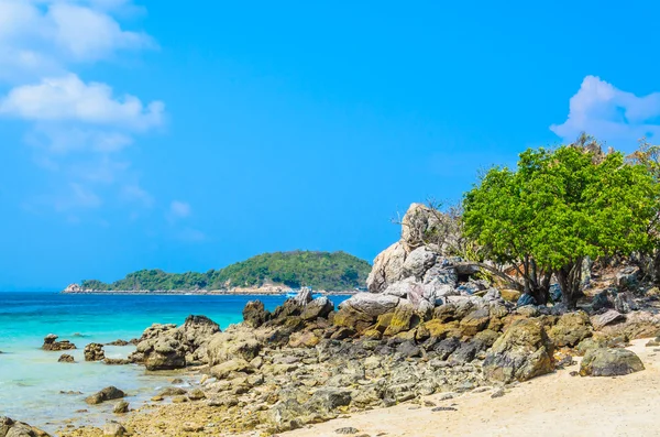 Pattaya beach — Stock fotografie