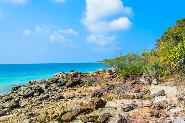 Playa de Pattaya — Foto de Stock