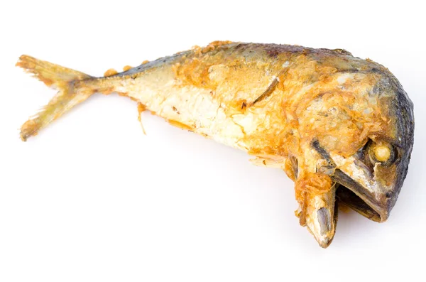Smażone makreli — Zdjęcie stockowe