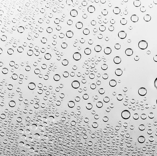 Gotas de agua en blanco y negro —  Fotos de Stock