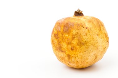 Nar meyve çürüklüğü