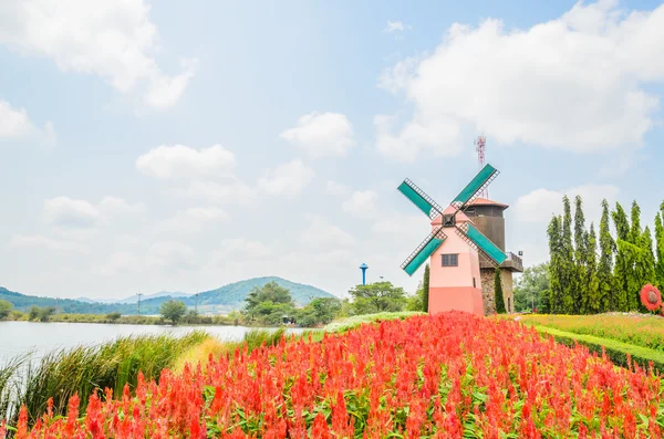 Molino de viento en el jardín — Foto de Stock