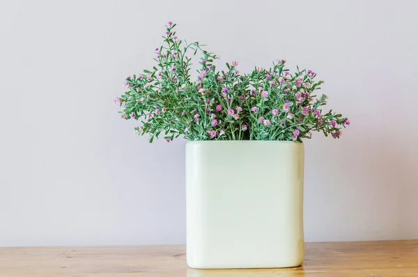 Flores em vaso — Fotografia de Stock