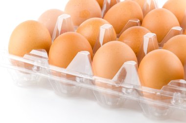 paketlenmiş yumurta