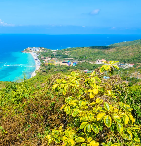 Isola di Koh larn — Foto Stock