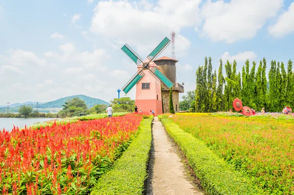 Windmühle im Garten — Stockfoto