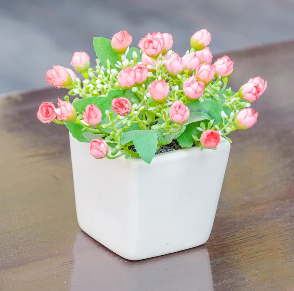 Blumen in der Vase — Stockfoto