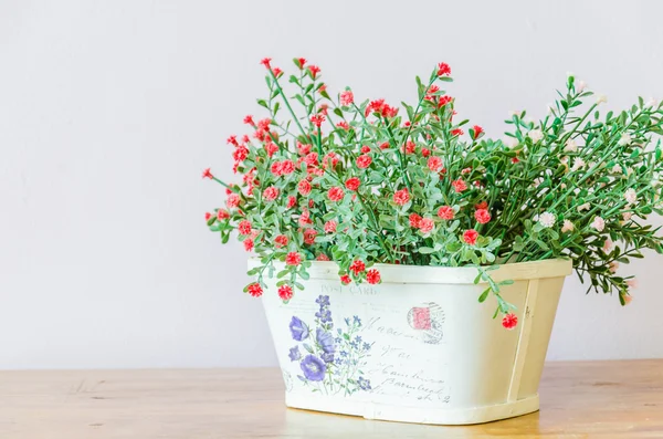 Flores em vaso — Fotografia de Stock