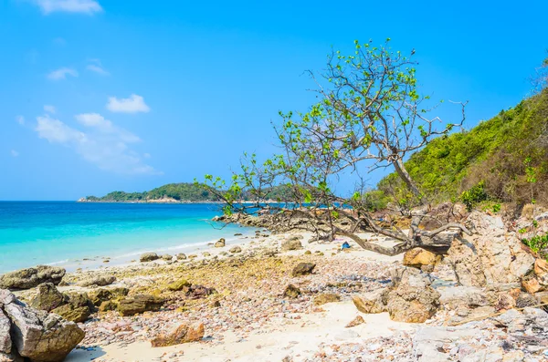 Pattaya beach — Stock Photo, Image