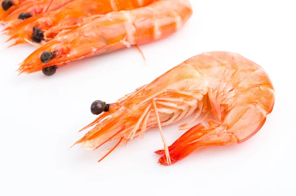 Shrimps on white — Stock Photo, Image