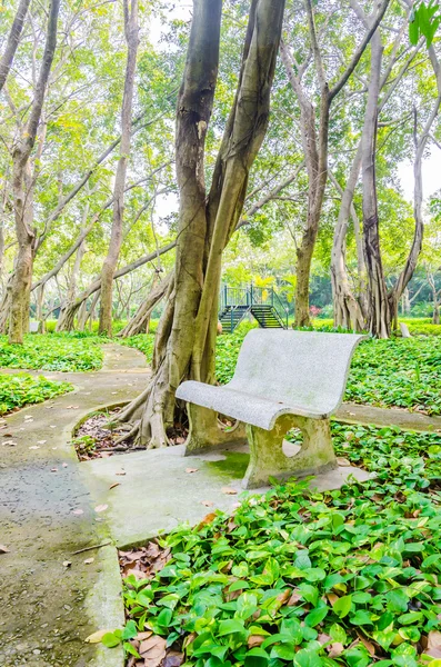 Bench — Stock Photo, Image