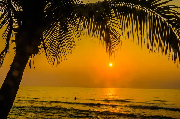 Silueta palma puesta del sol — Foto de Stock