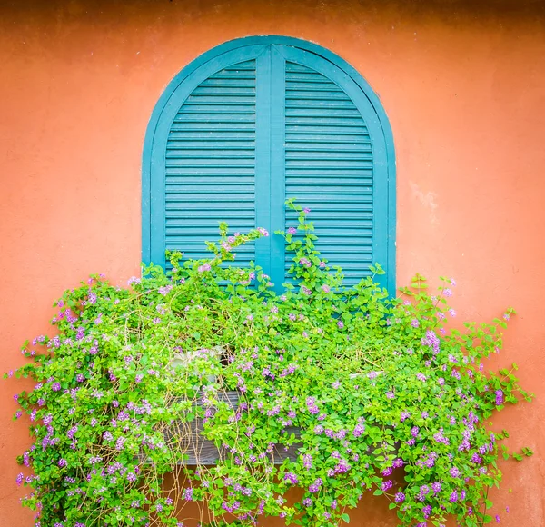 Fenêtre Toscane — Photo