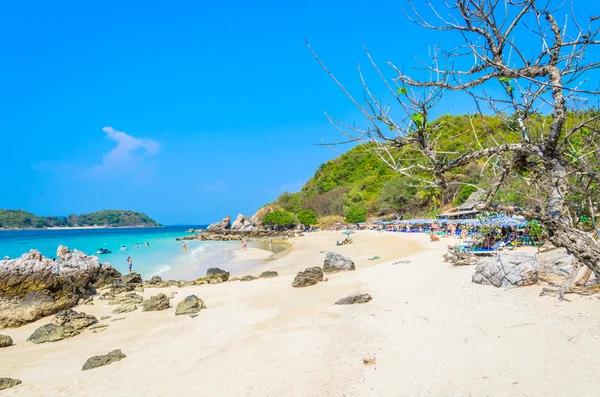 Playa de Pattaya —  Fotos de Stock