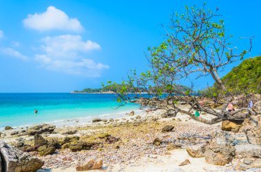 Pattaya beach