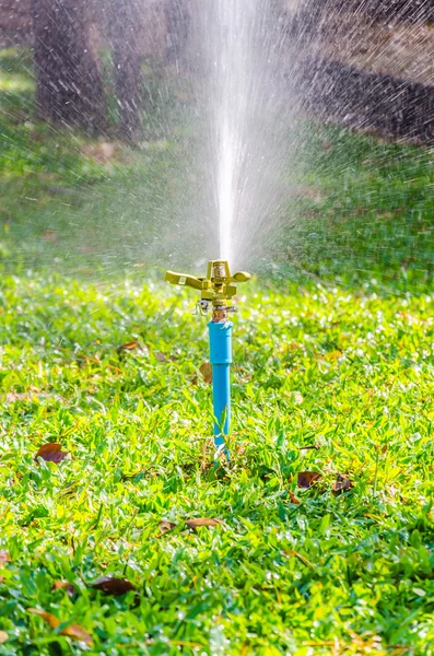 Sprinkler head watering — Stock Photo, Image