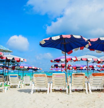 Koh Larne Adası tropik sahil