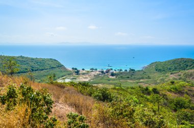 pattaya şehir Tayland Koh Larne Adası tropik beach