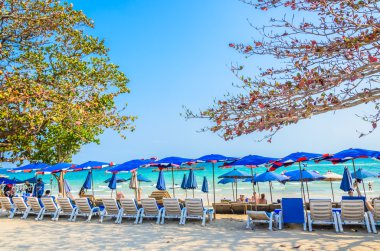 Pattaya beach