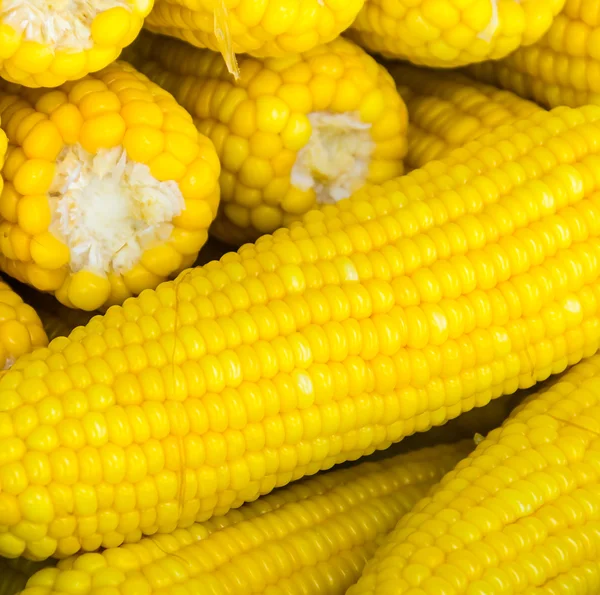 Steam corn — Stock Photo, Image