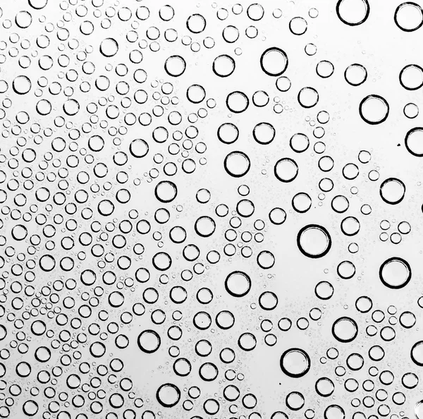 Water drop on black and white background (Process dark black and — Stock Photo, Image