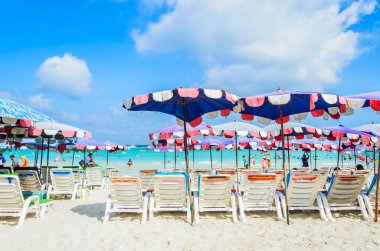 pattaya şehir Tayland Koh Larne Adası tropik beach