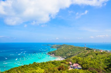 pattaya şehir Tayland Koh Larne Adası tropik beach