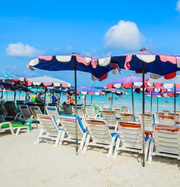pattaya şehir Tayland Koh Larne Adası tropik beach