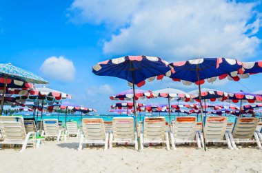 pattaya şehir Tayland Koh Larne Adası tropik beach